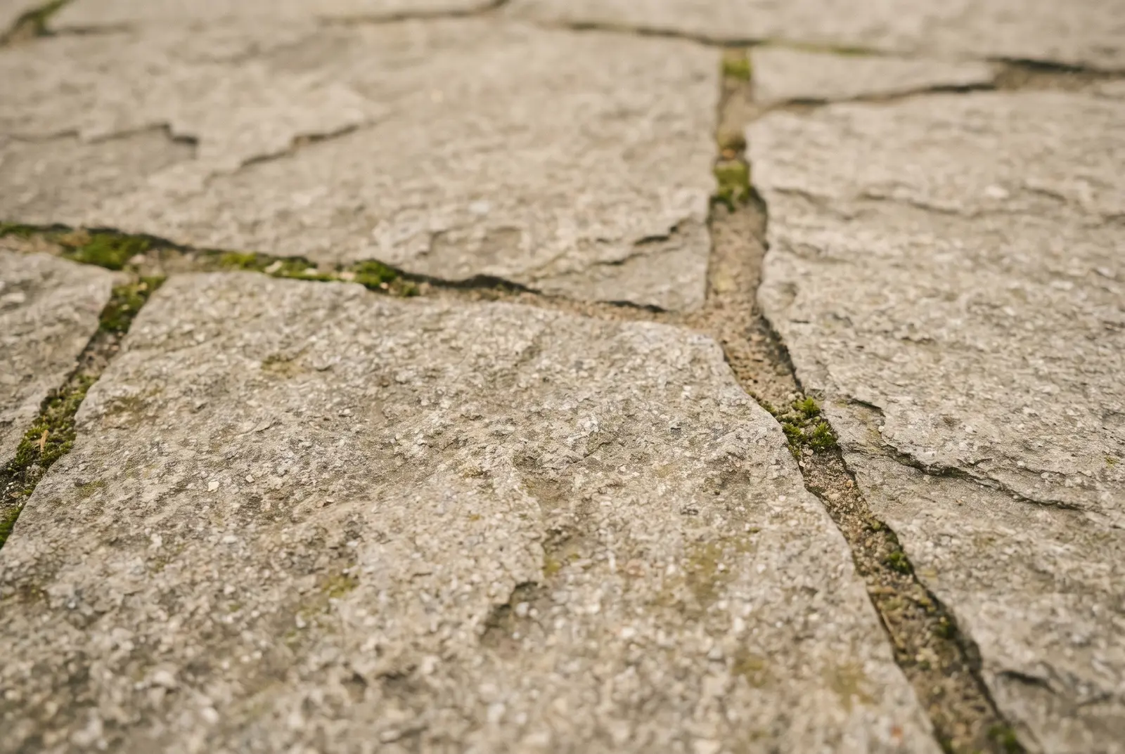 Macrotextuur van grijsbeige flagstones met fijne, gezande voegen